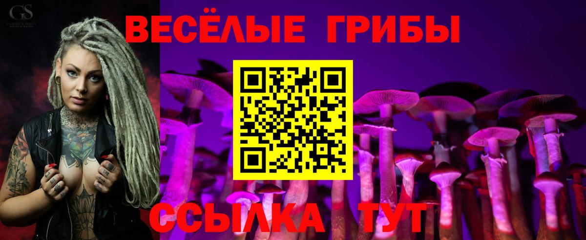 Галлюциногенные грибы Magic Shrooms Элиста